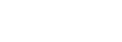 DNSE